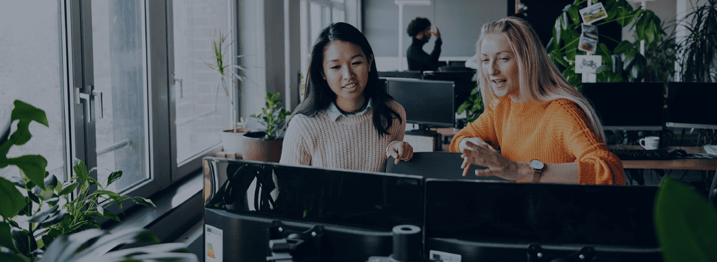Two People Working in an Office at Desktop Computers